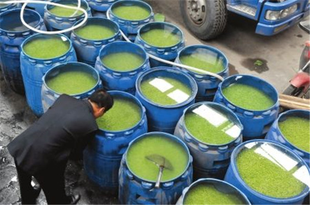豌豆淀粉加工设备 豌豆淀粉加工设备