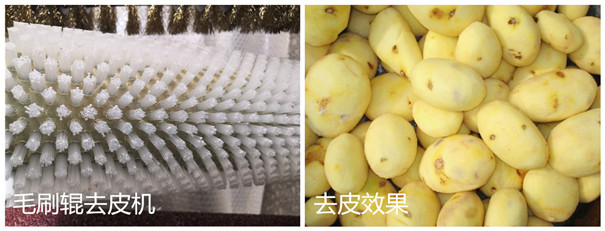 木薯去皮机-毛刷辊 木薯去皮机-毛刷辊