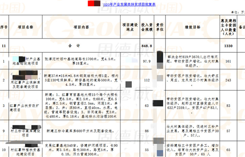 红薯种植加工业如何搭上乡村振兴政策的便车