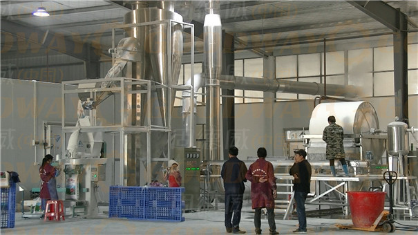 创建淀粉加工厂都包括哪些方面的资金投入？