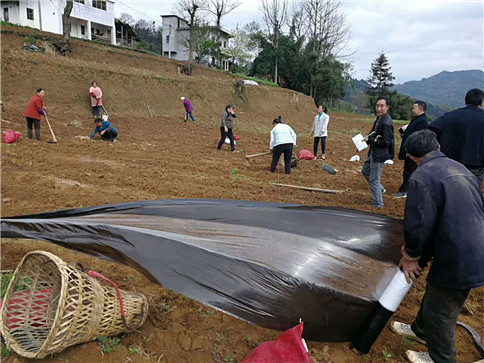 田间地头指导工作2.jpg