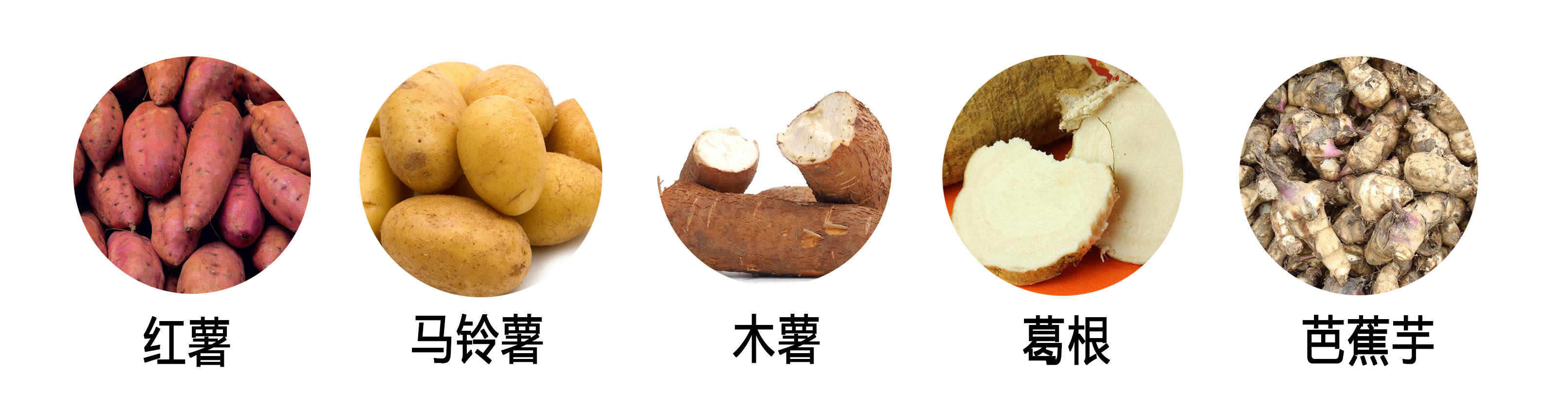 薯类1111.jpg