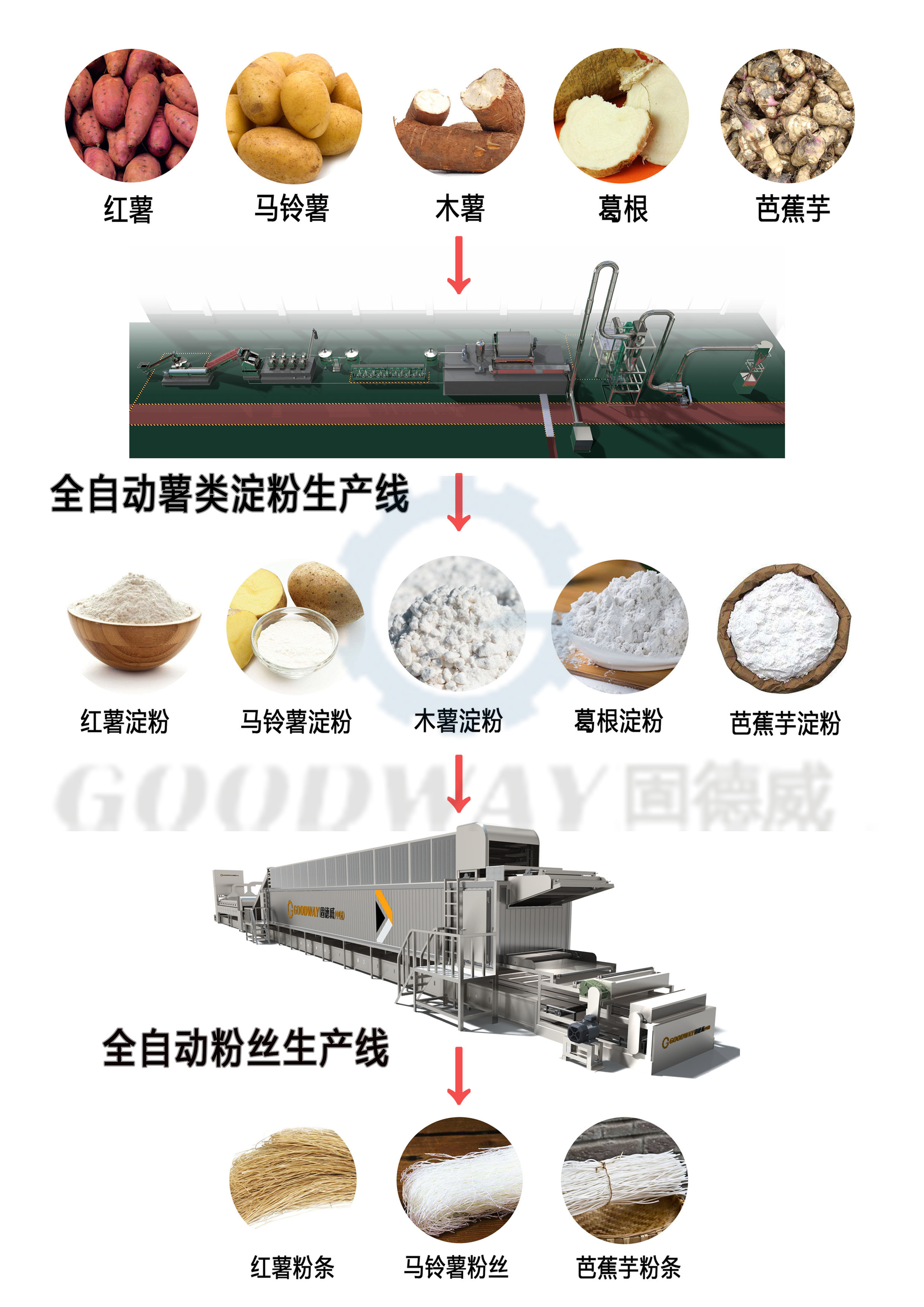 红薯--粉条  2  _副本.jpg